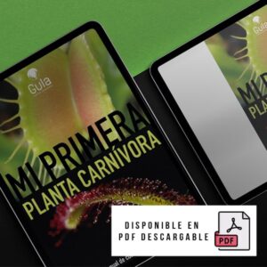manual plantas carnivoras